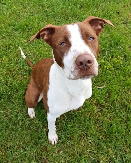 Behind the Scenes at a Marine Mammal Rehabilitation Center image